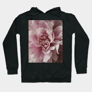 Macro Peony Hoodie